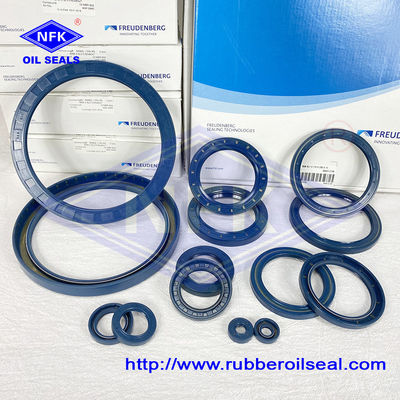 Aging Resistant Hydraulic Oil Seals