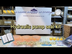 রেক্স্রথ সার্ভিস পাম্প মেরামত সিল কিট