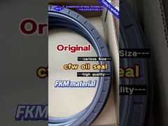 হাই চাপ হাইড্রোলিক পাম্পের জন্য পরিধান-প্রতিরোধী শ্যাফ্ট সীল