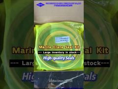 সামুদ্রিক ক্রেন JC0000-5325R0-6101 160/230 UPP হাইড্রোলিক সিলিন্ডার ASS'Y Φ250 ডান বোল্ট সিল কিট।